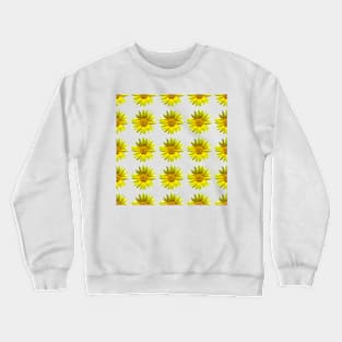 Sunny Disposition Crewneck Sweatshirt